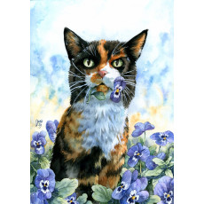 Print - Cat with Pansies